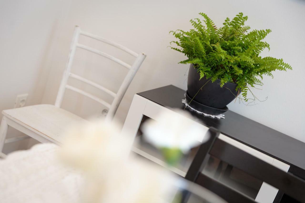 Apartments C52 Rovinj Exterior photo