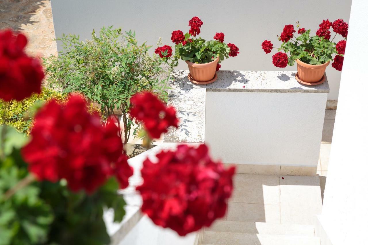 Apartments C52 Rovinj Exterior photo